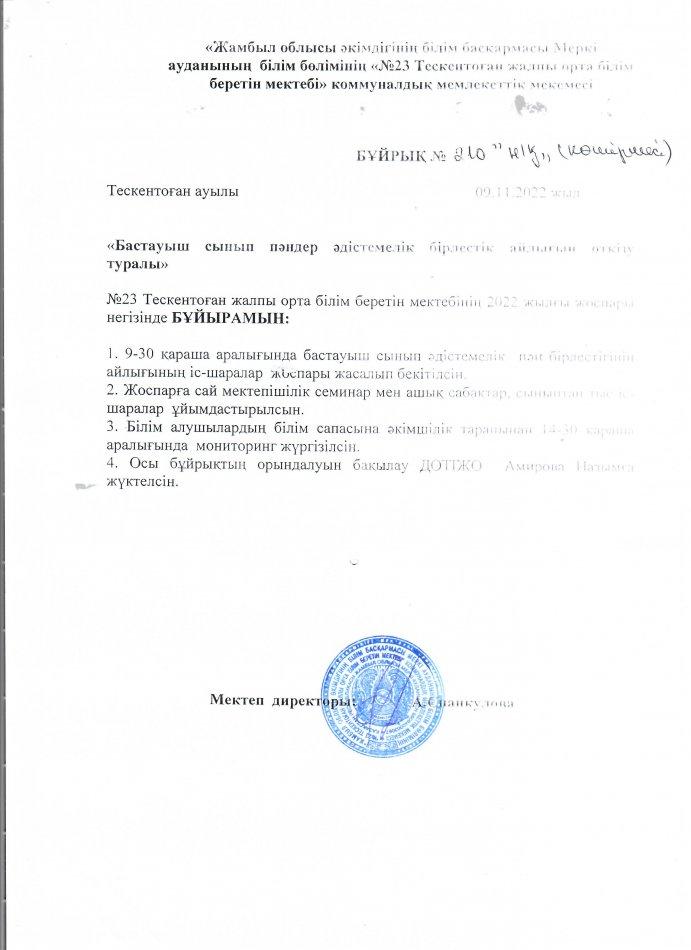 Бастауыш сынып пәндер әдістемелік бірлестік айлығының өткізілуі