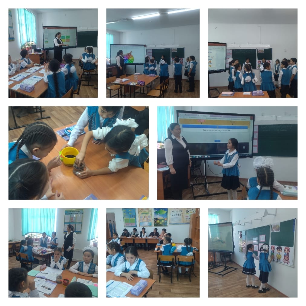 "Топырақтың құрамын тақырыбында ашық сабақ